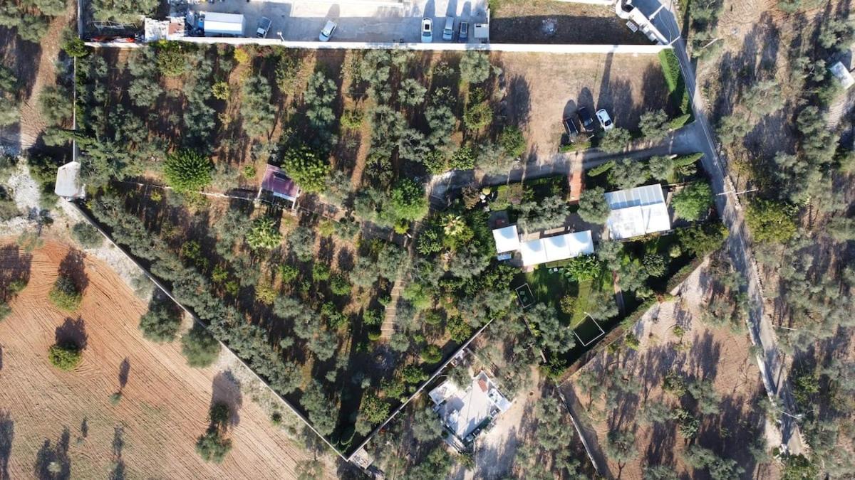 Countryhouse Gli Ulivi Модуньо Екстер'єр фото