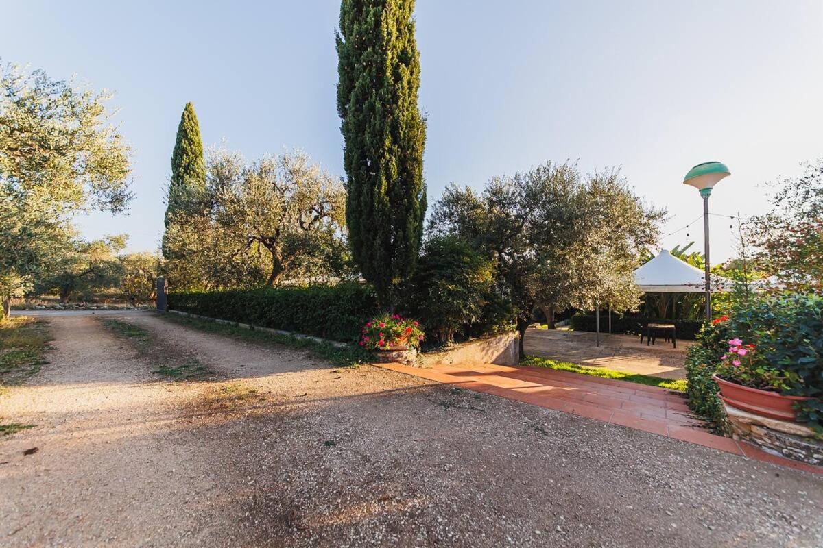 Countryhouse Gli Ulivi Модуньо Екстер'єр фото