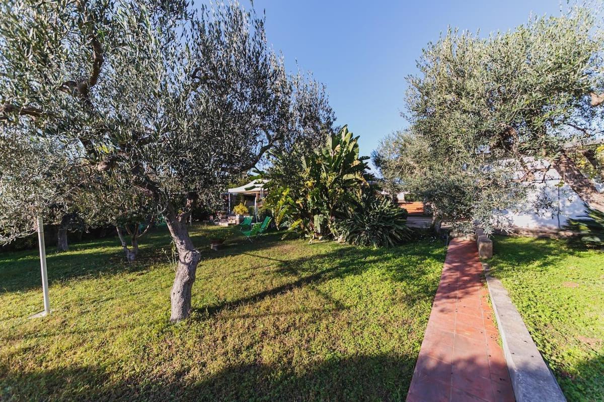 Countryhouse Gli Ulivi Модуньо Екстер'єр фото