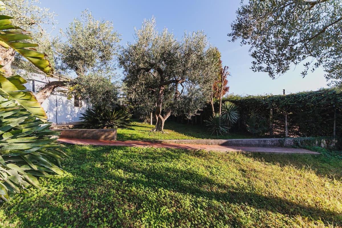 Countryhouse Gli Ulivi Модуньо Екстер'єр фото
